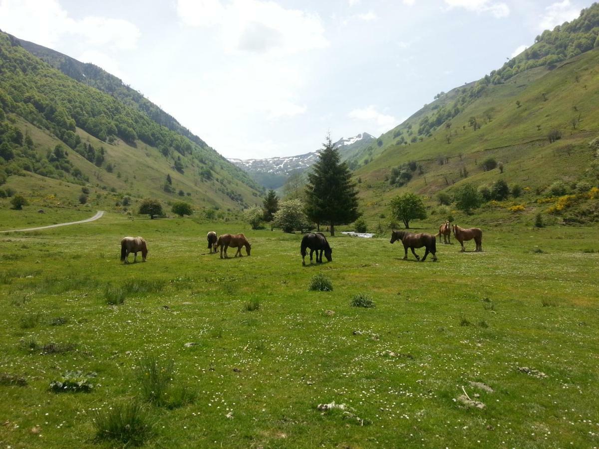 Gite De Montagne Du Plateau De Lhers- Accueil Randonneurs Accous Εξωτερικό φωτογραφία