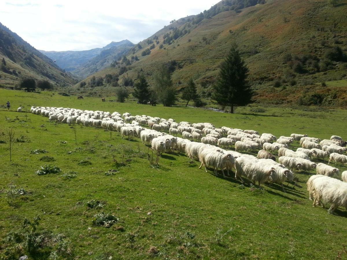 Gite De Montagne Du Plateau De Lhers- Accueil Randonneurs Accous Εξωτερικό φωτογραφία