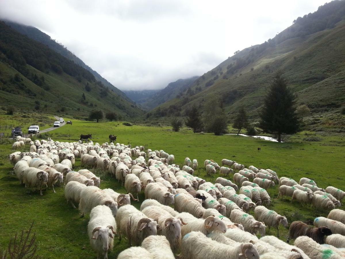 Gite De Montagne Du Plateau De Lhers- Accueil Randonneurs Accous Εξωτερικό φωτογραφία