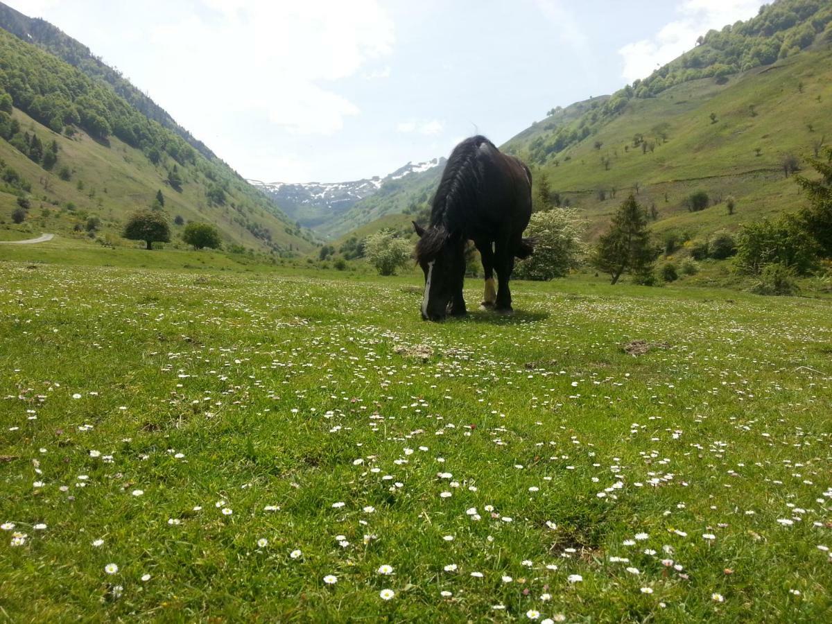 Gite De Montagne Du Plateau De Lhers- Accueil Randonneurs Accous Εξωτερικό φωτογραφία
